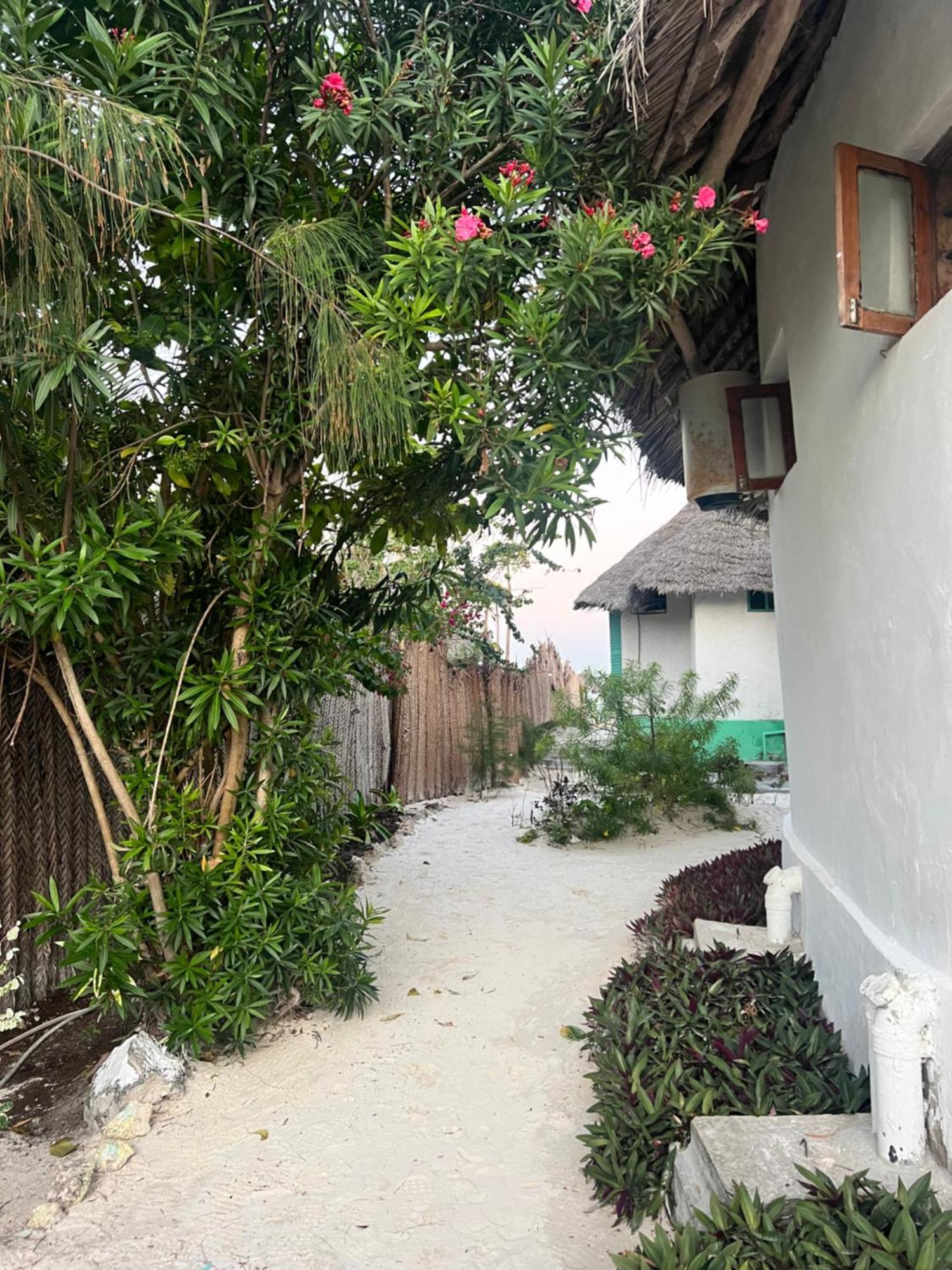 Duara Beach House Hotel ปาเยอ ภายนอก รูปภาพ